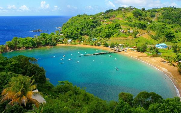 Maracas Bay is Trinidad's most famous beach, featuring a wide crescent of golden sand, swaying palm trees, and turquoise waters. It is world-renowned for "Bake and Shark," a signature local street food. The scenic drive through the Northern Range mountains to reach the bay offers breathtaking views, making it the premier spot for locals and tourists to enjoy a perfect blend of island nature and culinary culture.