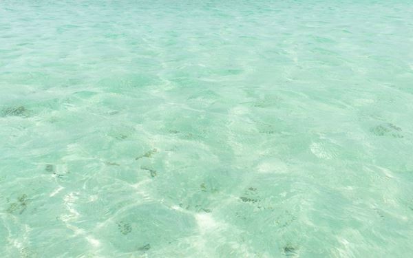 Located in the middle of the ocean near Buccoo Reef, Nylon Pool is a natural offshore sandbar with waist-deep, crystal-clear turquoise water. It was named by Princess Margaret for its clarity resembling nylon. It is a magical spot for swimming and relaxing in the sun, surrounded by the deep blue sea. Legend says swimming here can rejuvenate you, making it one of Tobago’s most legendary and beautiful attractions.