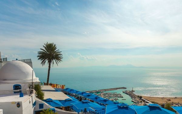 Perched on a cliff overlooking the Mediterranean, Sidi Bou Said is a picturesque village famous for its stunning blue-and-white houses and cobblestone streets. Known as a sanctuary for artists, its bohemian atmosphere is complemented by breathtaking views of the Gulf of Tunis. It is a place of serene beauty, where the scent of jasmine and the traditional "Café des Nattes" offer a quintessential North African coastal experience.