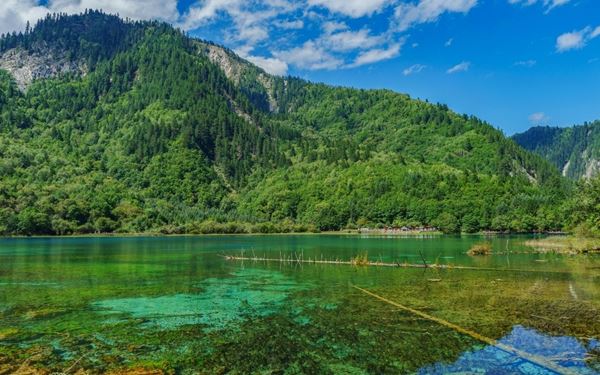 Chalk Sound is a stunning natural lagoon filled with brilliant turquoise water and hundreds of small limestone cays. The unique color of the water is caused by the fine limestone silt. It is a premier destination for kayaking and paddleboarding, where visitors can spot iguanas and bonefish in a peaceful, motor-free environment. It is a breathtaking display of the islands' unique coastal geography and vibrant hues.
