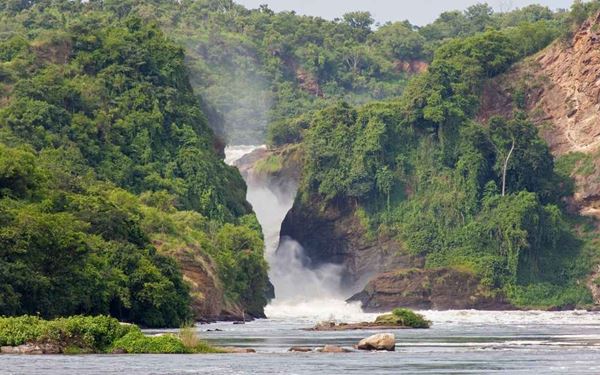 Murchison Falls is where the mighty Nile River is forced through a narrow 7-meter gap, plunging 43 meters into a thunderous "Devil's Cauldron." It is the most powerful waterfall in the world. Visitors can take boat safaris to the base of the falls to see elephants, hippos, and crocodiles. It is a spectacular natural wonder that showcases the raw energy of the Nile and the diverse wildlife of Uganda’s oldest national park.