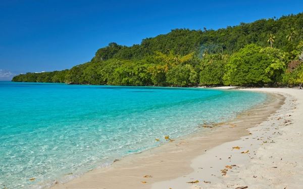 Champagne Beach on Espiritu Santo is world-famous for its near-perfect crescent of white sand and fizzing turquoise waters, caused by volcanic gas escaping from the sea floor. It is often cited as one of the most beautiful beaches in the South Pacific. Surrounded by lush coconut groves, the beach offers a serene and exotic paradise, perfect for swimming and experiencing the untouched, laid-back charm of Vanuatu’s outer islands.