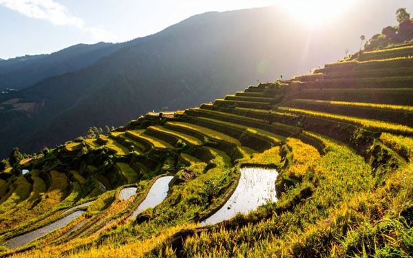 Located in the Hoang Lien Son Mountains, Sapa is world-famous for its breathtaking terraced rice fields that cascade down steep valleys. Visitors can trek through ethnic minority villages, experience local Muong Hoa Valley culture, and conquer Fansipan, the "Roof of Indochina." The misty landscapes and vibrant traditional costumes of the Hmong and Dao people make it a majestic and culturally rich highland escape.
