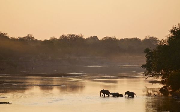 South Luangwa is world-renowned as the "birthplace of the walking safari," offering an intimate and expert-led way to experience the African bush. The park is famous for its high concentration of leopards and hippos along the Luangwa River. Its raw and diverse landscapes provide a premier wildlife viewing experience that focuses on authentic encounters and a deep understanding of the ecosystem in a wild, remote setting.