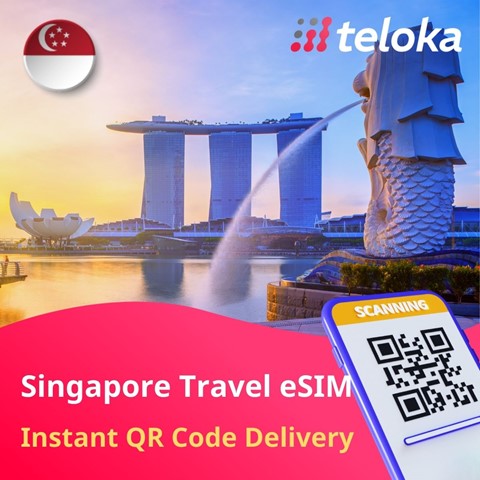 Buy the best travel eSIM for Singapore | Stay easily connected