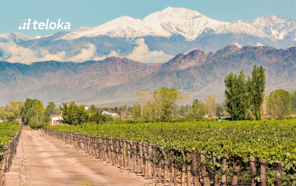 Wandering-through-the-wine-country-of-Mendoza