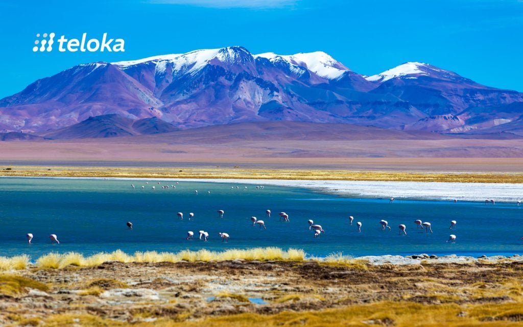 探索阿塔卡马沙漠的浩瀚寂静