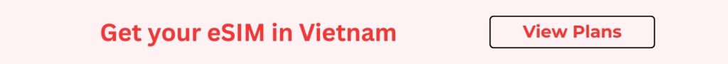 teloka vietnam esim