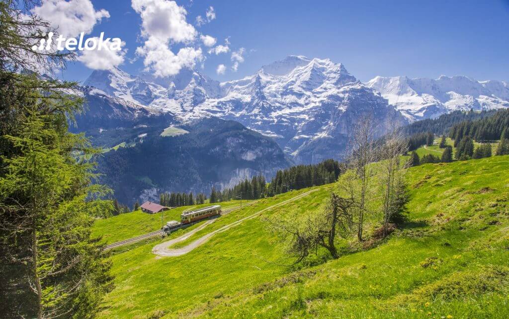 Die klare Luft der Jungfrau-Region einatmen